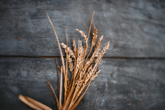 Is Barley Good For Diabetics