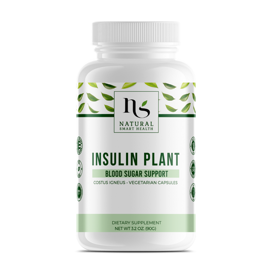 Insulin Plant (Costus Igneus) Capsules - 150 Capsules