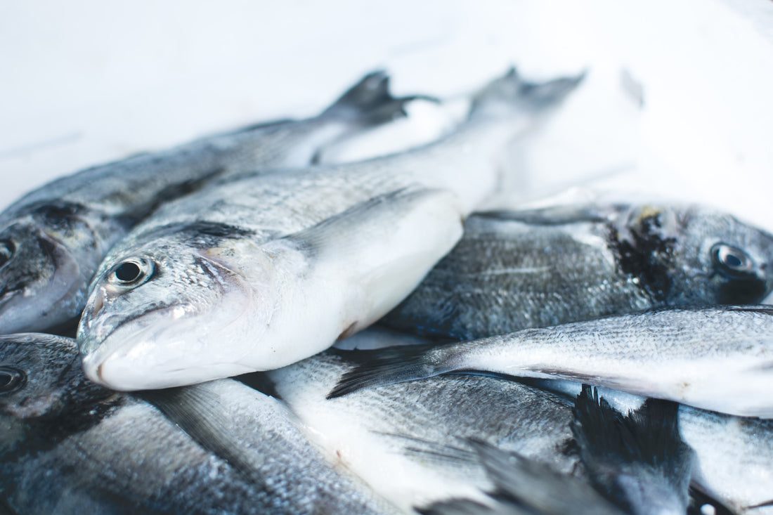 Fish Without Scales is Not Good for Diabetics