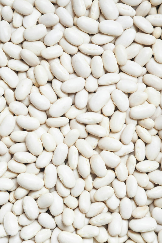 Are Navy Beans Good for Diabetics