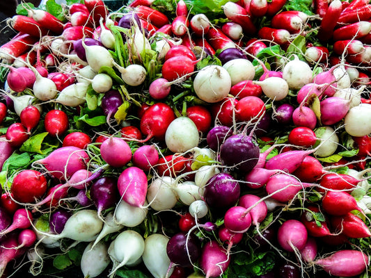 Are Radishes Good for Diabetes