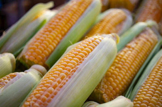 Is Frozen Corn Good for Diabetics
