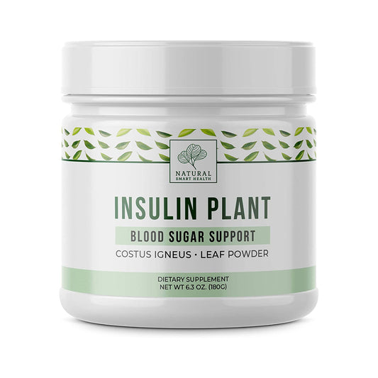 Insulin Plant (Costus Igneus) Powder - 180 Gram Jar